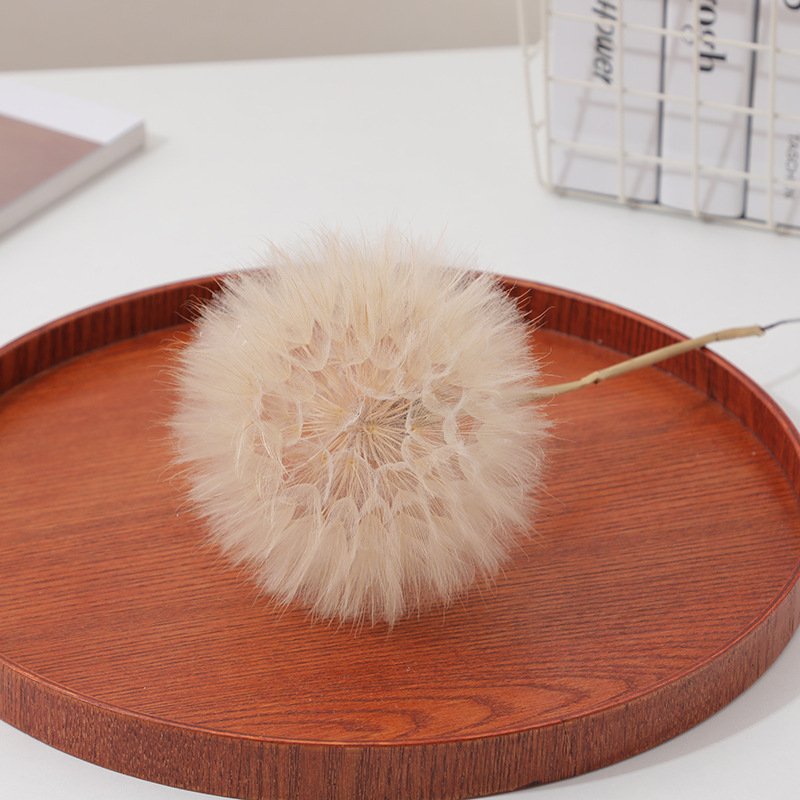 Resin Crafts - Preserved Dandelion DIY Epoxy Resin Craft