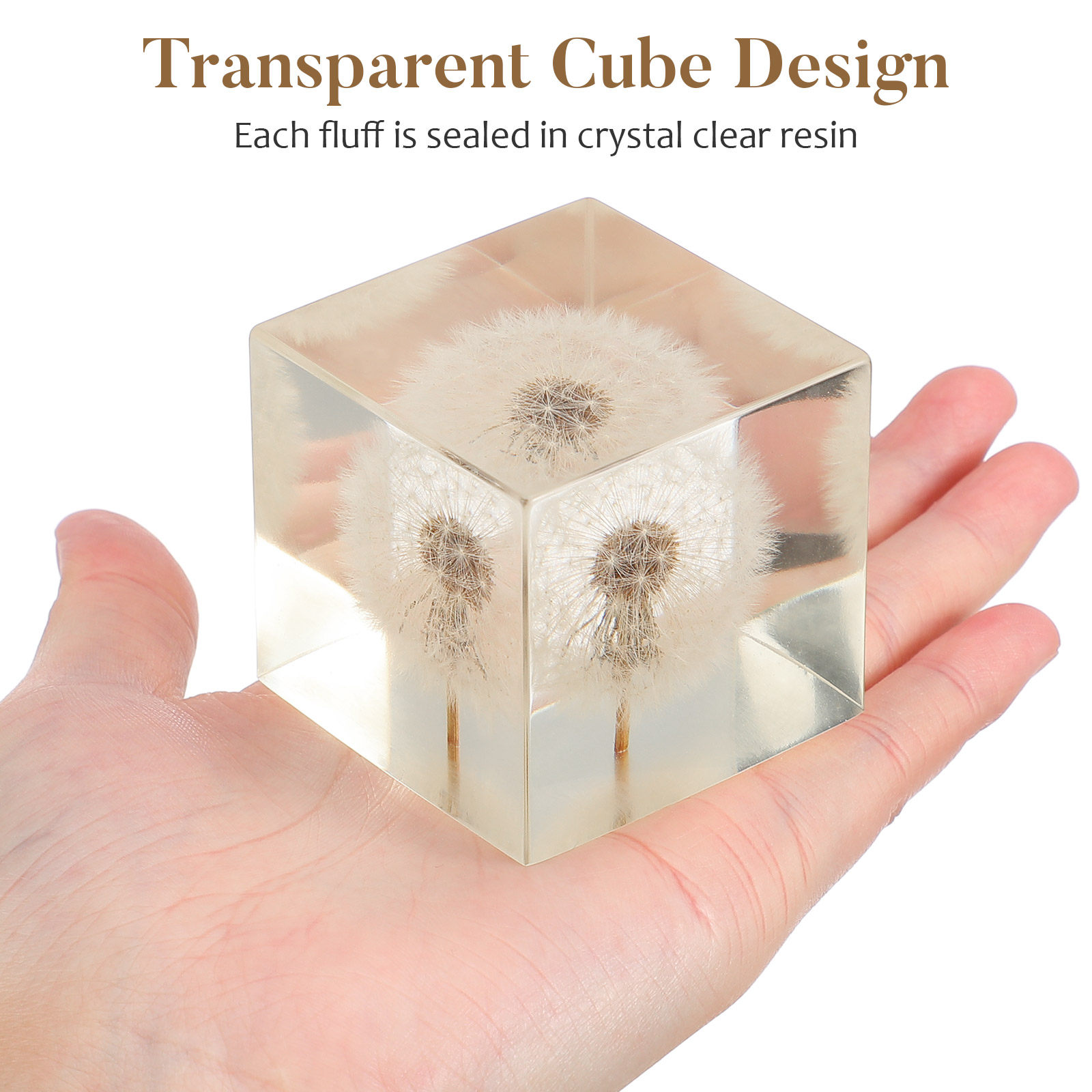 Dandelion Cube Craft Crystal B - Resin Craft Ideas ulasan dan harga