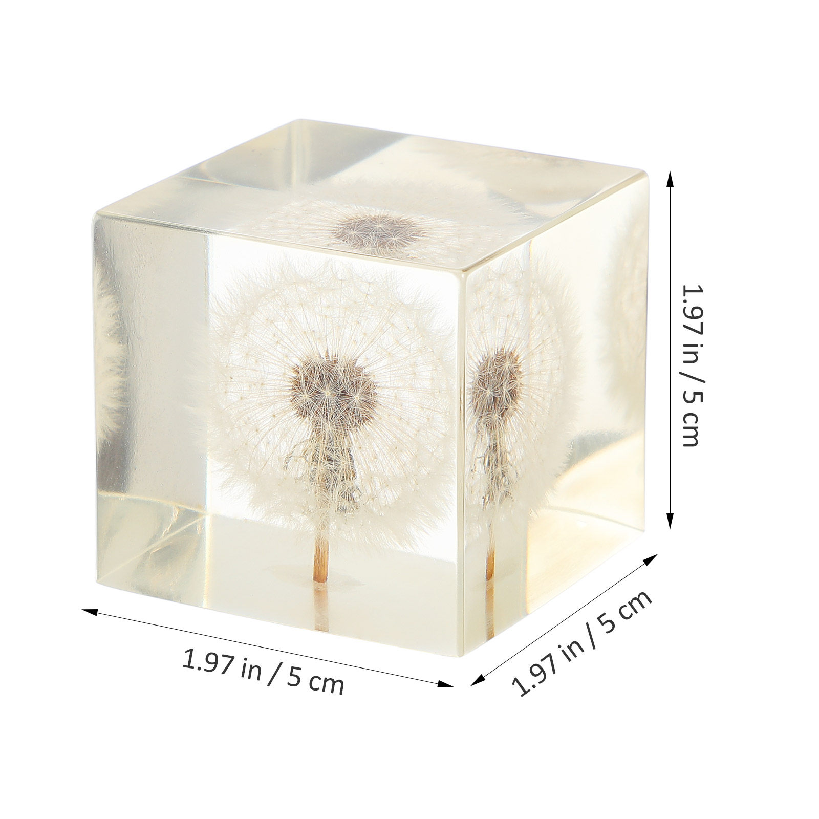 Dandelion Cube Craft Crystal B - Resin Craft Ideas ulasan dan harga