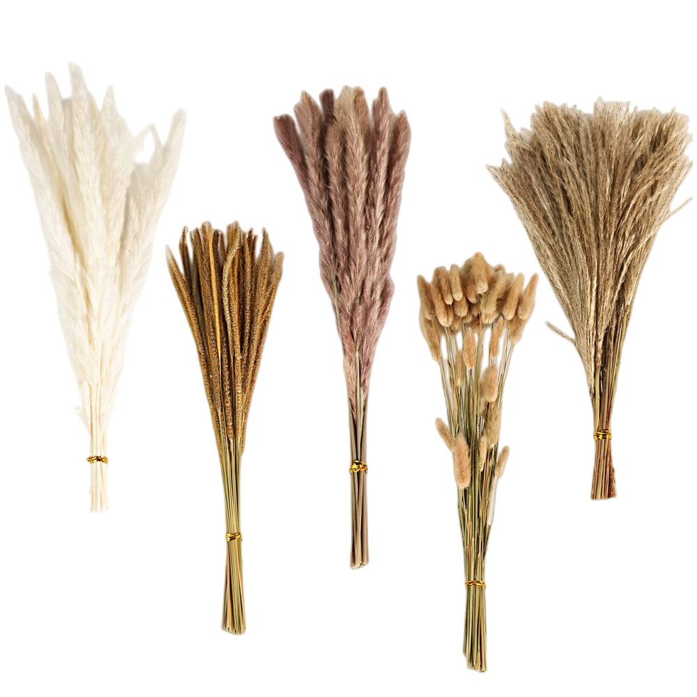 Autumn Vintage Mixed Dried Flo - Dried Flower Bulk ulasan dan harga