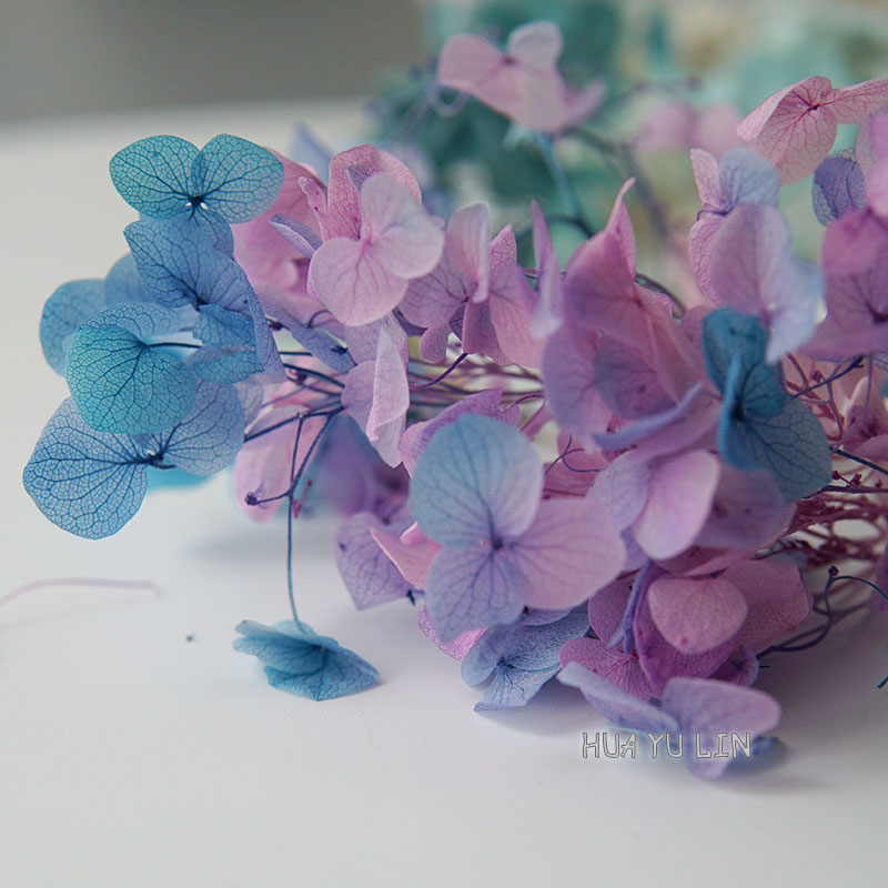Ombre Gradient Dried Preserved - Dried Flower Bulk ulasan dan harga