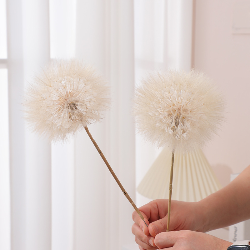 Preserved Dandelion DIY Epoxy  - Resin Crafts ulasan dan harga