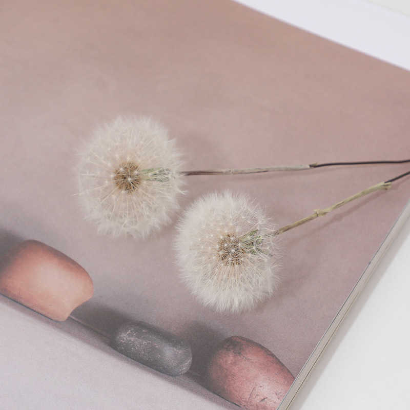 Preserved Dandelion DIY Epoxy  - Resin Crafts ulasan dan harga