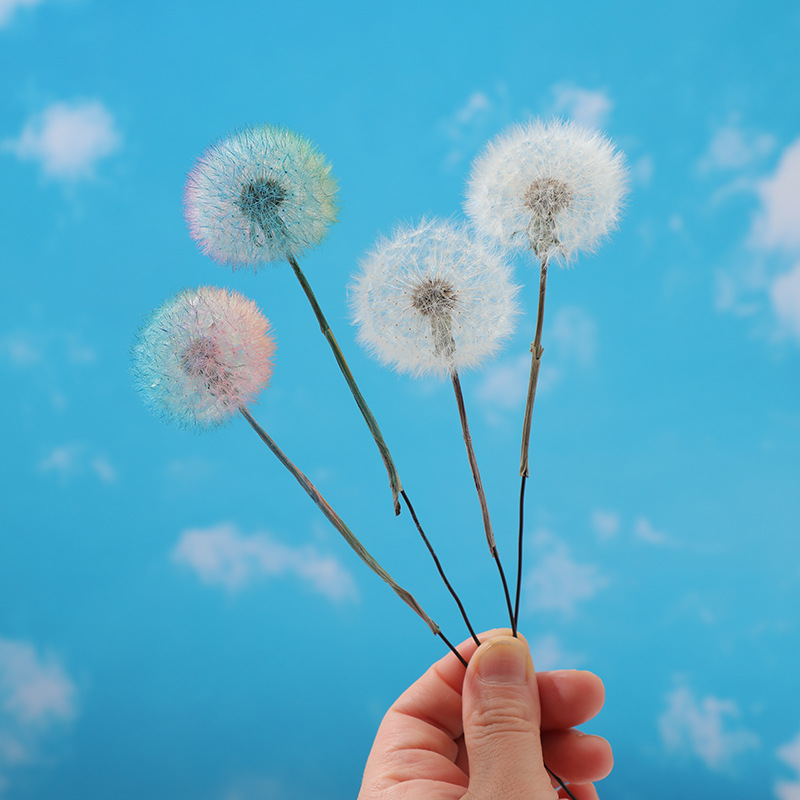 Preserved Dandelion DIY Epoxy  - Resin Crafts ulasan dan harga