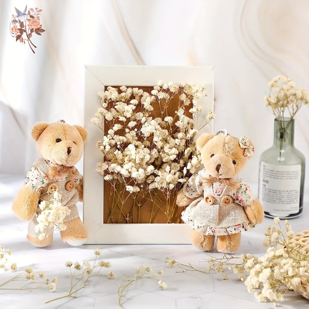 100pcs Mini Dried Baby's Breat - Dried Flower Bulk ulasan dan harga